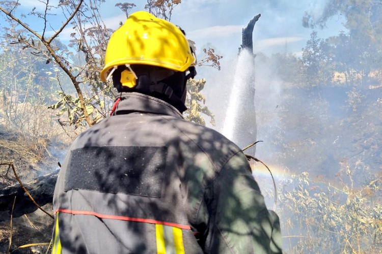 Se incendia zona forestal cerca del Cerro del Nixticuil